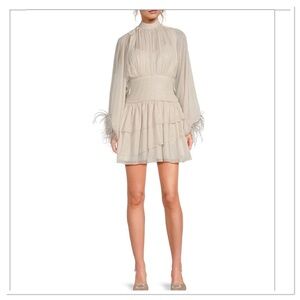NWT A Loves A Metallic Chiffon Feather Trim Mini Dress Size Small
